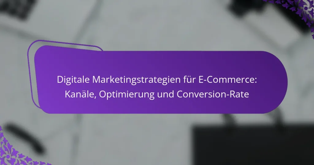 Digitale Marketingstrategien für E-Commerce: Kanäle, Optimierung und Conversion-Rate