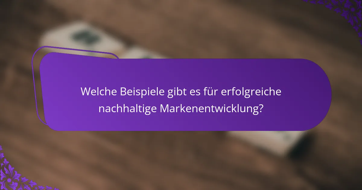 Welche Beispiele gibt es für erfolgreiche nachhaltige Markenentwicklung?