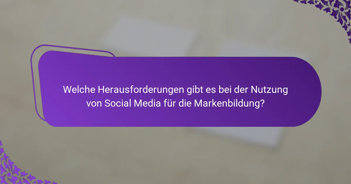 Welche Herausforderungen gibt es bei der Nutzung von Social Media für die Markenbildung?
