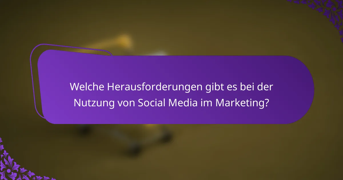 Welche Herausforderungen gibt es bei der Nutzung von Social Media im Marketing?