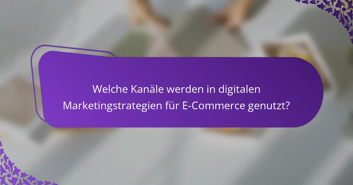 Welche Kanäle werden in digitalen Marketingstrategien für E-Commerce genutzt?